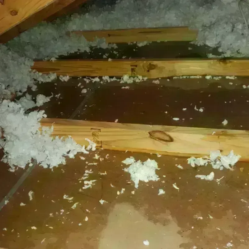 Attic Water Damage in Midway, NC